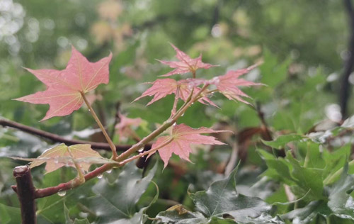 在職場(chǎng)上，長(zhǎng)得好看，真的能當(dāng)飯吃嗎？為你揭秘拉開職場(chǎng)差距的真正原因！??！