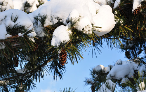 2022版:工傷認(rèn)定流程及賠償標(biāo)準(zhǔn)(1-10級、工亡)