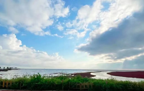 沈陽(yáng)勞務(wù)派遣公司是如何維護(hù)人力資源個(gè)體的合法權(quán)益？